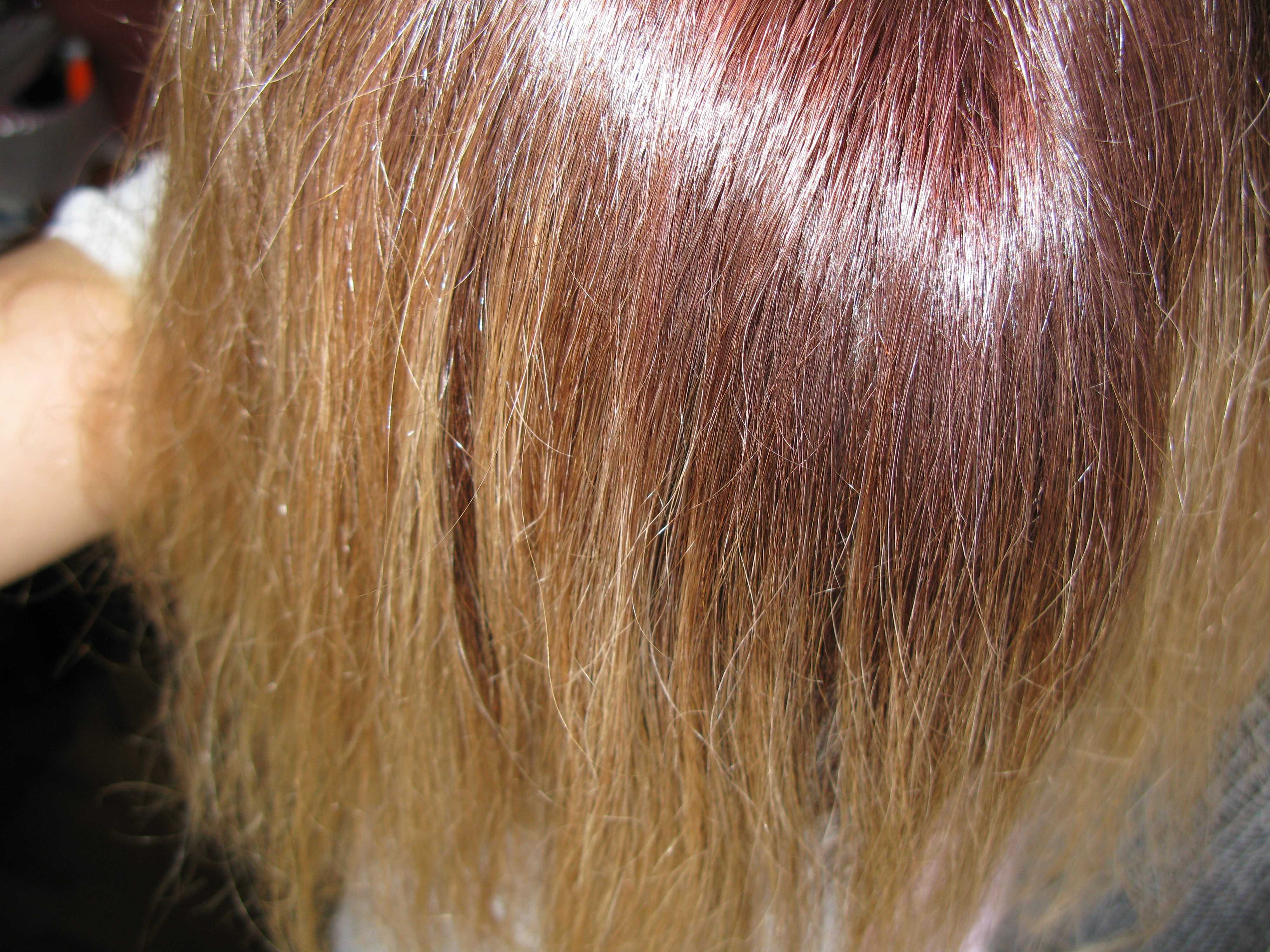 Может ли от краски матрикс выпадать волосы