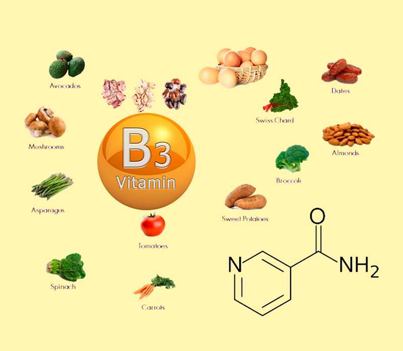 В каких продуктах содержится витамин в картинки