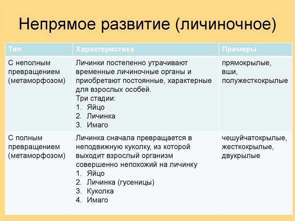 Файл: Контрольная работа по дисциплине Проектный менеджмент в производстве.doc