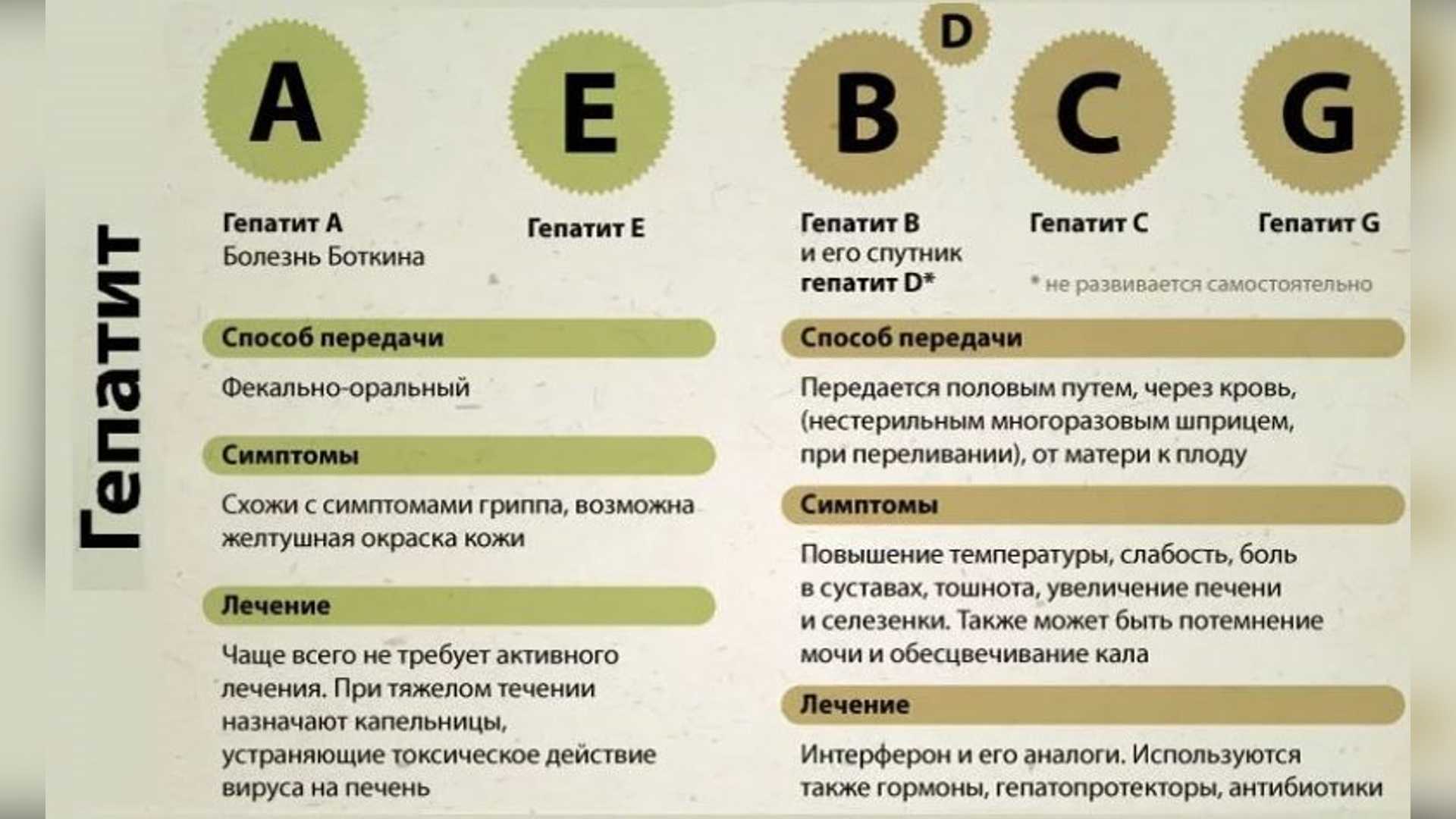 Гепатит б симптомы у женщин первые признаки как передается фото