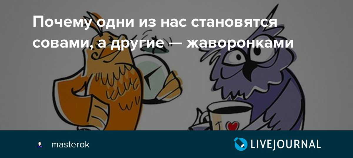 Кто лучше работает: «совы» или «жаворонки»? - hi-news.ru