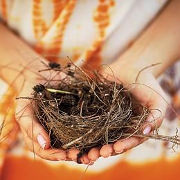7 способов пережить синдром опустевшего гнезда