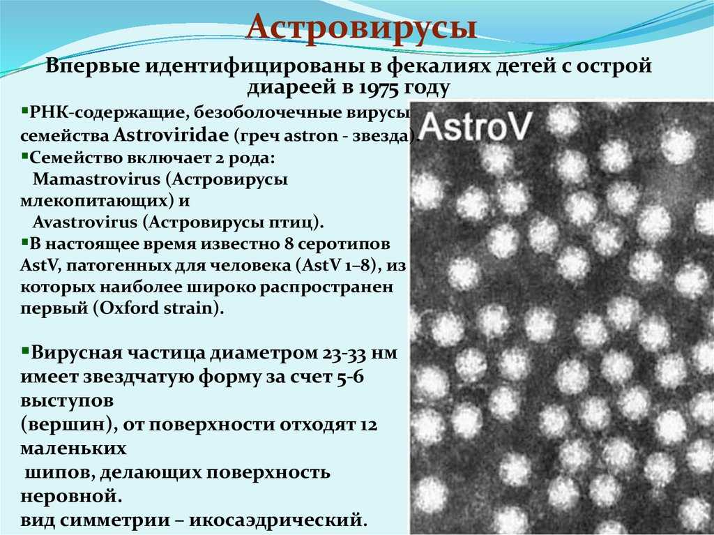 Астровирусная инфекция. Ротавирус норовирус астровирус. Астровирусы заболевания. Астровирусная инфекция характеризуется. Аденовирус и ротавирус.