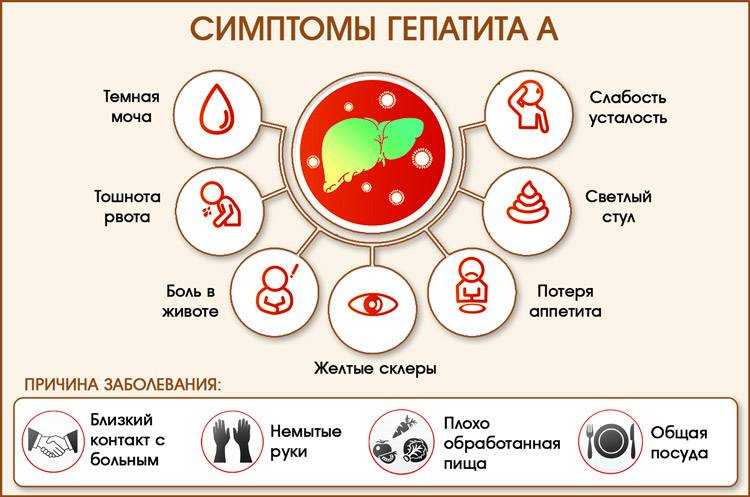 Вирус гепатита с: мифы и реальность